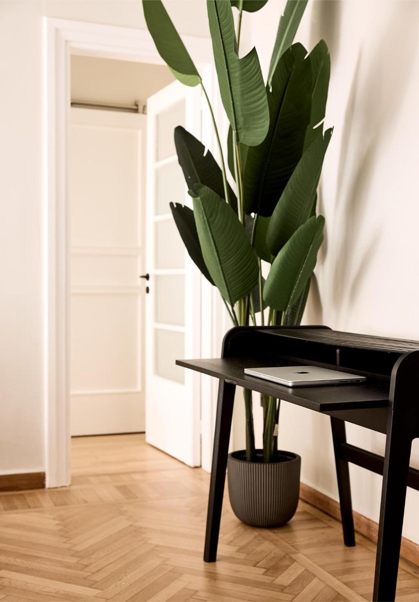 Lime Residences, Syntagma By Aura Homes Athena Ruang foto